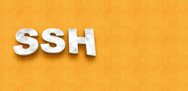 ssh 3d text
