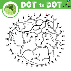 Dot to dot game for kids. Connect the dots and draw a cabbage. Fresh vegetable puzzle activity page. Vector illustration