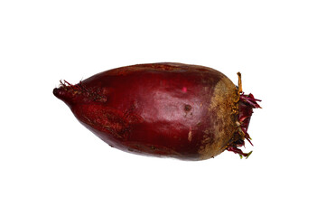Washed beetroot oblong on a white background