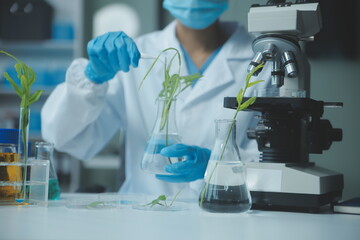Scientist cutting plant tissue culture in petri dish, performing laboratory experiments. Small...