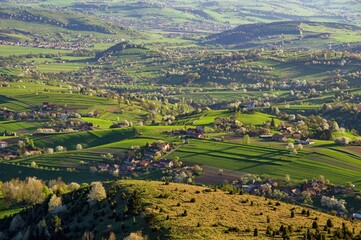 Spring green landscape. Nature fields with blooming cherries. Unique ecological land management. Polana region, Hrinova, Slovakia  © Ivan