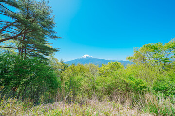 展望台から見る河口湖と富士山