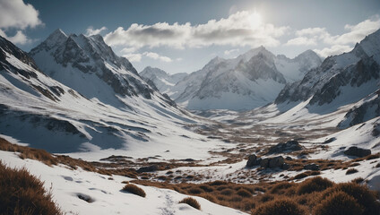 Panoramic environment in winter, high mountains and pine trees covered in snow, winter landscape concept
