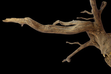 Brown driftwood for aquarium aquascaping design isolated on black background with clipping path