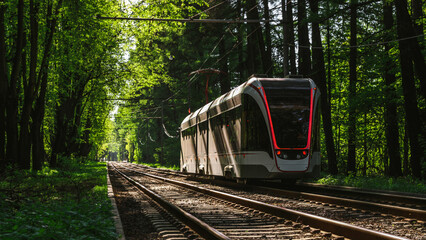 Forest Tramway
