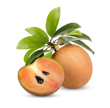 Fresh sapodilla with leaves isolated on white background