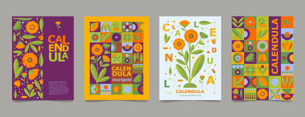 Set poster, brochure with calendula drawing. Isolated flower and leaves. Cards geometry for print design vector banner