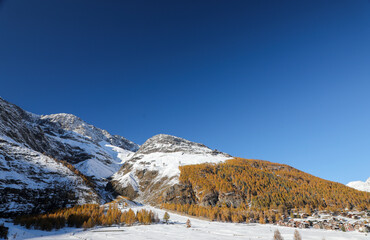 snow covered mountains