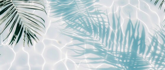 Elegant minimalist background concept featuring close-up water surface with gentle ripples and subtle blurred palm leaf shadows on the beach, evoking a peaceful, natural and pure atmosphere.