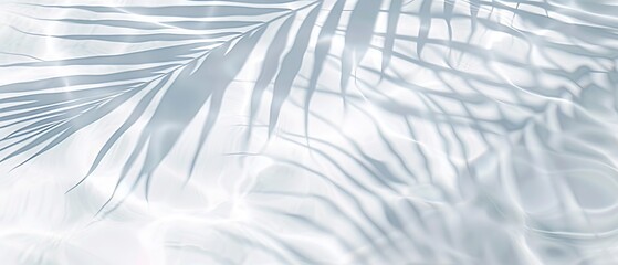 Elegant minimalist background concept featuring close-up water surface with gentle ripples and subtle blurred palm leaf shadows on the beach, evoking a peaceful, natural and pure atmosphere.