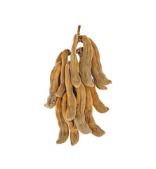 mucuna pruriens or velvet bean transparent png