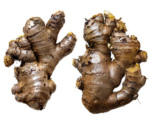 ginger root isolated on white transparent png background