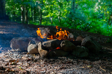 Campfire and smoke in the forest
