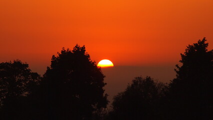Beautiful sunset among the trees