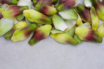 Fresh green purple artichoke petals