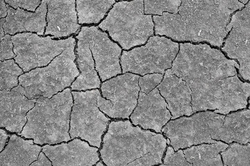 Wall texture soil dry crack pattern of drought lack of water of nature brown old broken background.
