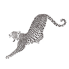 Abstract Leopard Illustration.