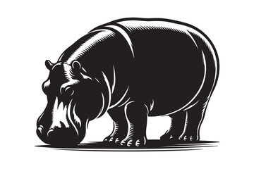 Hippopotamus silhouette vector illustration.eps