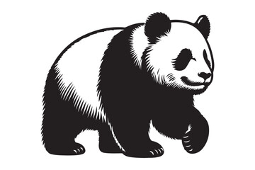 Panda silhouette vector illustration.eps