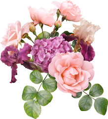 Pink roses, hydreangea and iris isolated on a transparent background. Png file.  Floral...