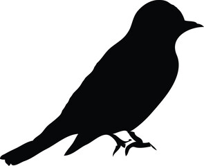 silhouette bird of your business