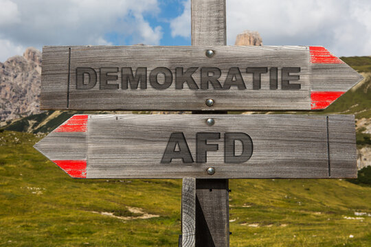 Demokratie und AFD