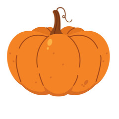 Orange cartoon pumpkin vector illustration, isolated on white background