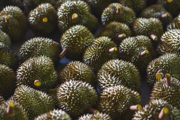 Durian fruit for sale to buyers in the Thai fruit market Durian is known as the fruit king of Thailand.