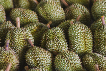 Durian fruit for sale to buyers in the Thai fruit market Durian is known as the fruit king of Thailand.