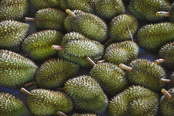 Durian fruit for sale to buyers in the Thai fruit market Durian is known as the fruit king of Thailand.