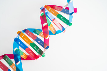 Obraz premium DNA or Deoxyribonucleic acid is a double helix chains structure formed by base pairs attached to a sugar phosphate backbone.
