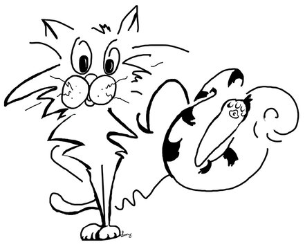 chat rigolo