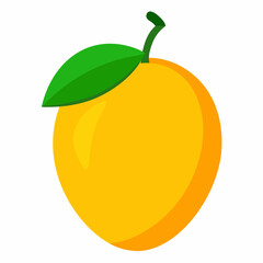 illustration of an orange