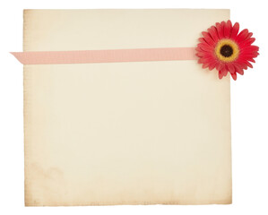 PNG Gerbera flower paper plant