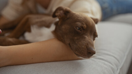 A woman relaxes indoors in her living room with her dog resting on her arm, capturing a serene moment of companionship in a comfortable home setting.