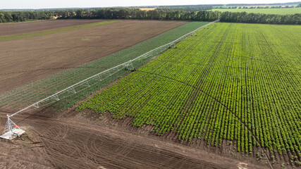 Modern pivot irrigation system in  soybean field. A sprinkler system, agriculture technology.