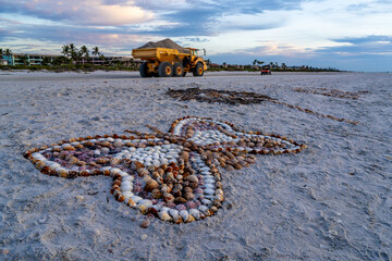 An articulated dump truck carrying sand for a restoration project passes by an arrangement of sea...