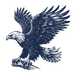 Eagle Vector, eagle silhouette, eagle Vector drawing