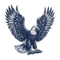 Eagle Vector, eagle silhouette, eagle Vector drawing