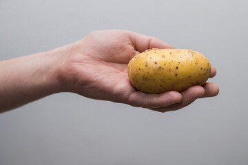 Potato Lover: Caucasian man Holding a Melody Potato