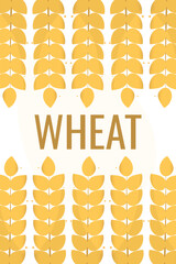 Ears of wheat border or Rye frame, wheat banner or poster