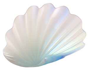 Fototapeta premium PNG Shell invertebrate translucent seashell.