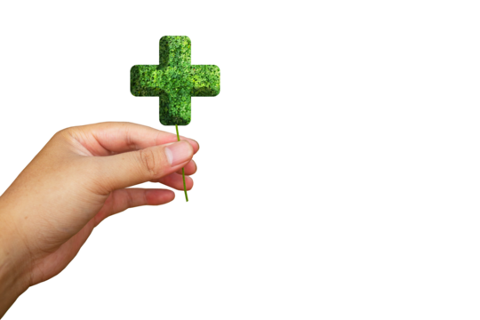 hands holding a health icon made of leaves, as a symbol of providing health, treatment and help