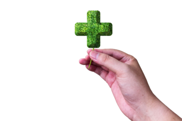 hands holding a health icon made of leaves, as a symbol of providing health, treatment and help
