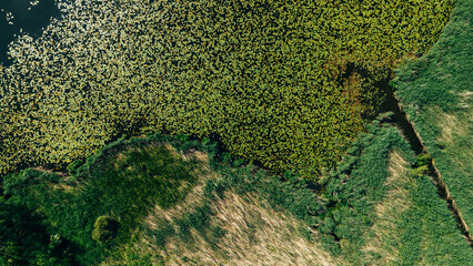 Top view of the lake and swamp on the background abstraction