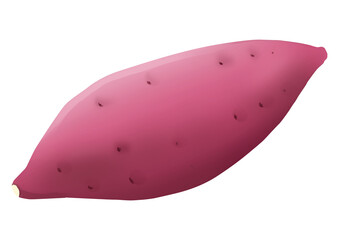 さつまいものイラスト（主線なし）