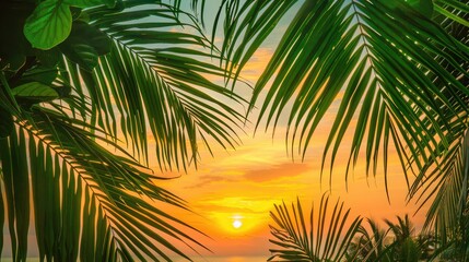 Close-up of tropical palm leaves against a sunset backdrop