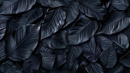 Fototapeta premium Elegant black tropical leaves with subtle textures and detailed vein structures, forming a refined and artistic background