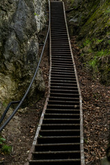 Fototapeta premium Panoramic view from Lake Bled, beauty heritage in Slovenia. Island with church and castle in the background create a dream setting. View from Ojstrica and Mala Osojnica with the heart-shaped bench.