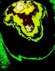 Circle Shape Inside Green, Black, Yellow, Brown Color And White Designing Well Paper Colorpool Baground Colorpool Image